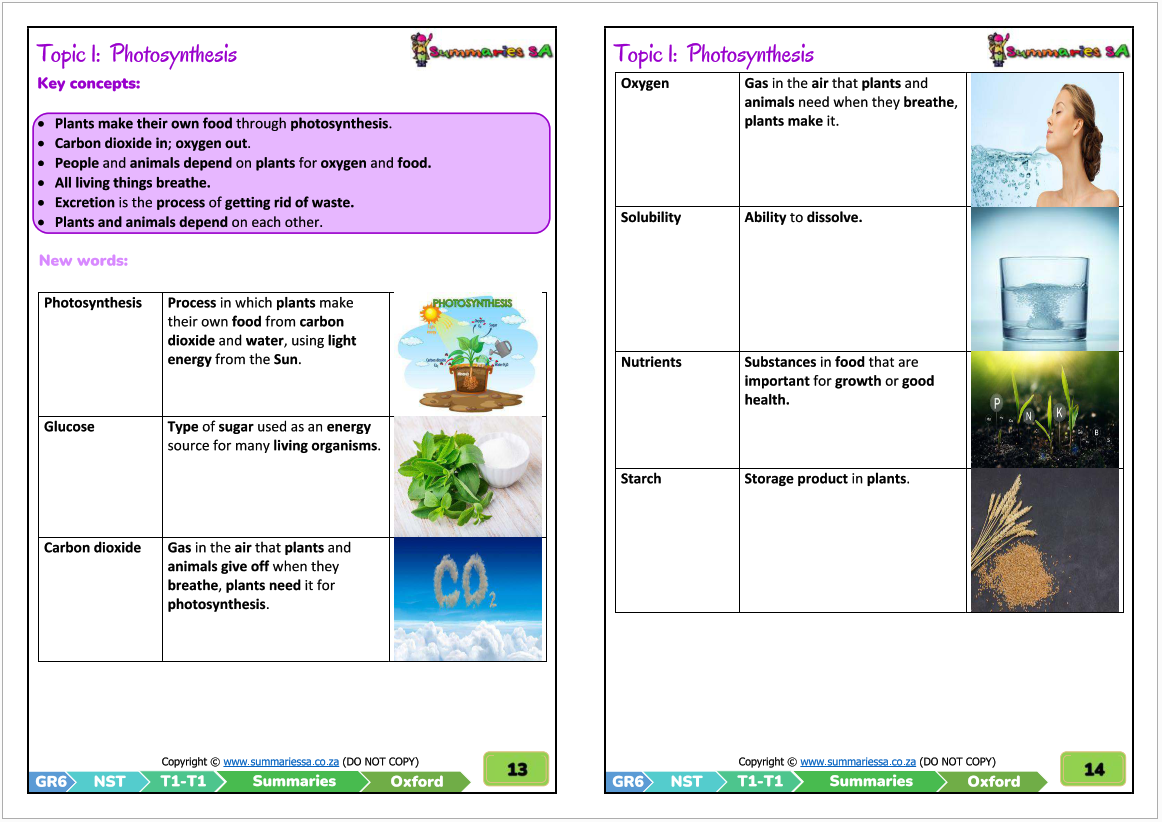 Grade 6 Natural Sciences & Technology Term 1 (NST) (Oxford) - Classroom101