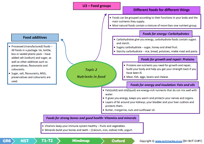 grade 6 natural sciences technology term 1 nst oxford classroom101