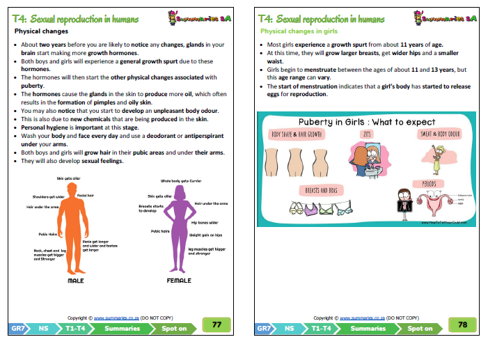 Grade 7 Natural Sciences Term 1 (NST) (Spot On) | Classroom101