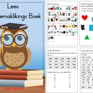 Lees Vergemaklikings Boek PDF AFR