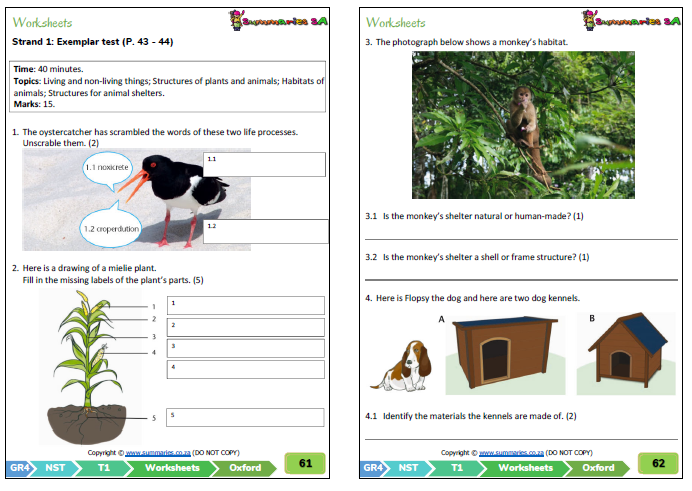 grade 4 natural science technology nst term 1 oxford