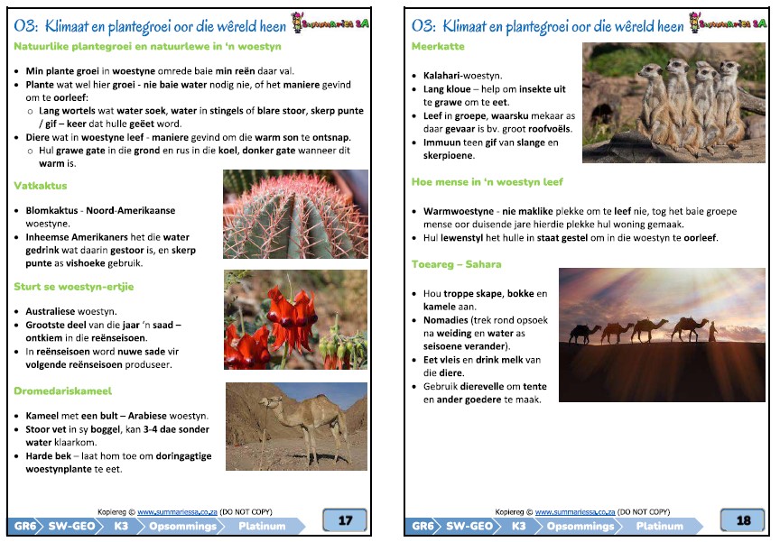 Graad 6 Sosiale Wetenskappe (Geografie & Geskiedenis) Kwartaal 3 (SW) (Platinum) - Image 6