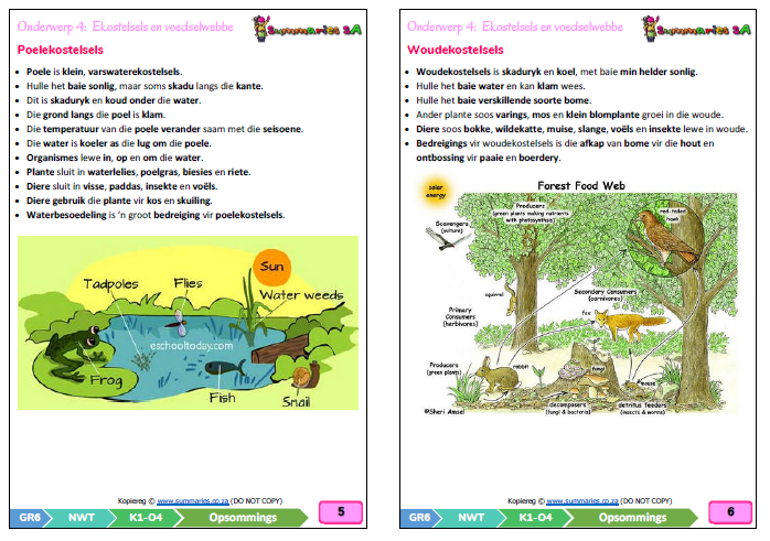 Graad Natuurwetenskappe En Tegnologie Nwt Kwartaal Platinum Handboek Classroom