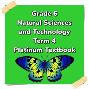 Grade 6 Natural Sciences & Technology Term 4 (Platinum)