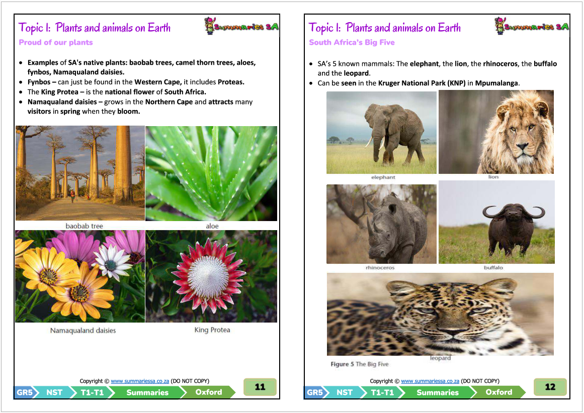 Grade 5 Natural Science & Technology (NST) Term 1 (Oxford Textbook) - Image 5