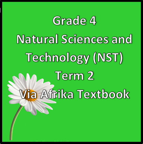 Grade 4 Natural Sciences And Technology Term 2 (NST) (VIA Afrika ...