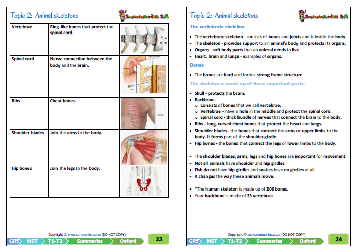 grade 5 natural science technology nst term 1 oxford