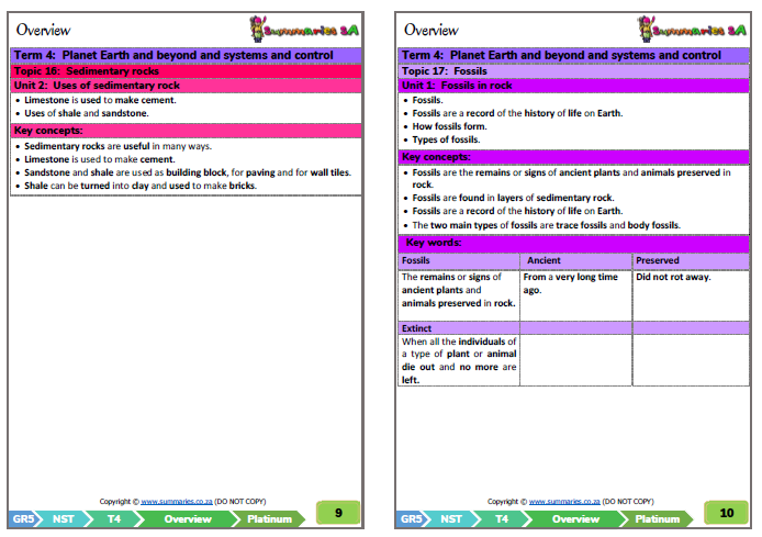 grade 5 natural sciences technology term 4 nst platinum