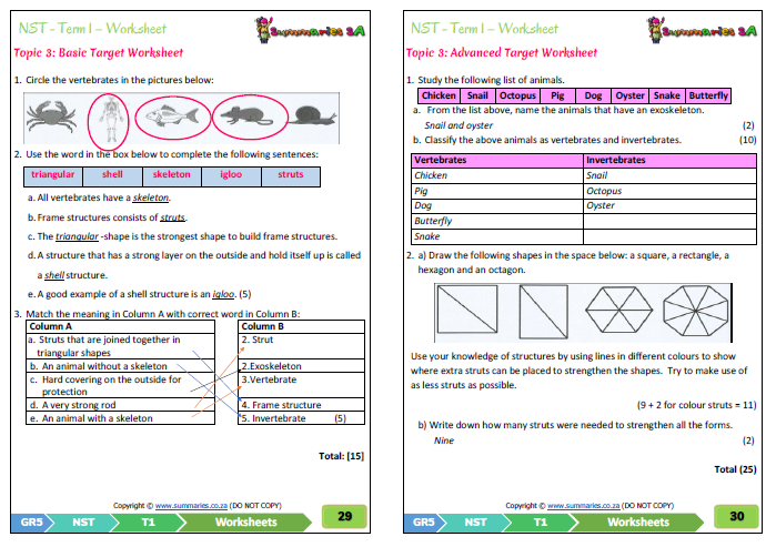 Grade 4 Natural Sciences Technology Term 2 Platinum Teacha Grade 5 