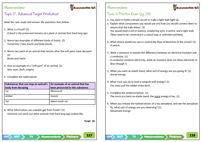 grade 5 natural sciences technology term 4 nst platinum classroom101