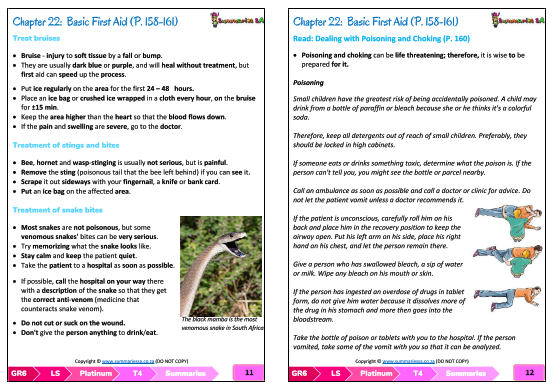 Grade 6 Life Skills Term 4 (Platinum) - Image 6