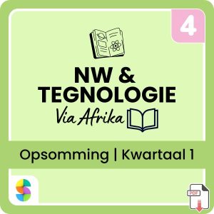 Graad 4 Natuurwetenskappe en Tegnologie Opsommings + Werkkaarte – Kwartaal 1 (Via Afrika) (CAPS/KABV) | PDF