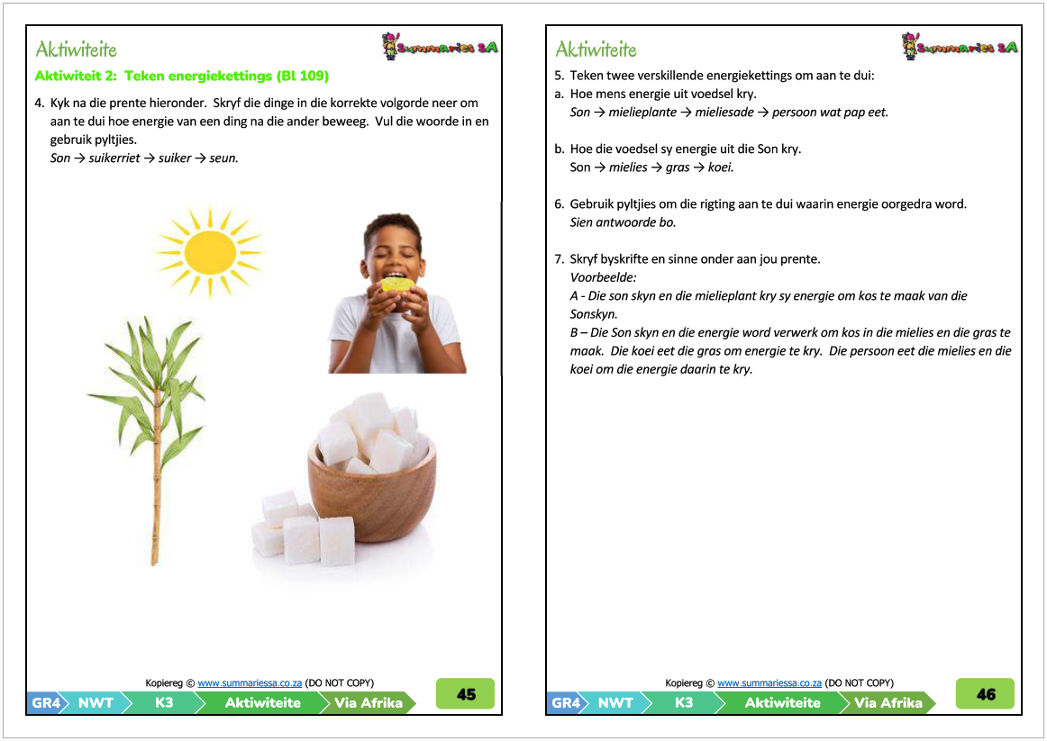 Graad 4 Natuurwetenskappe & Tegnologie Kwartaal 3 (VIA Afrika) - Image 3