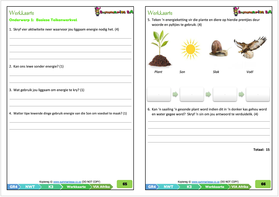Graad 4 Natuurwetenskappe & Tegnologie Kwartaal 3 (VIA Afrika) - Image 4
