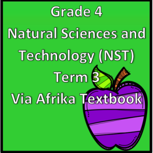 Grade 4 Natural Sciences and Technology Term 3 (NST) (VIA Afrika)
