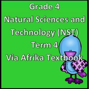 Grade 4 Natural Sciences and Technology Term 4 (NST) (VIA Afrika)