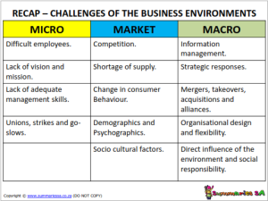 business essay grade 11 term 1