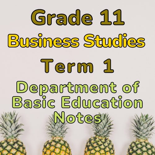 business studies grade 11 essays term 1