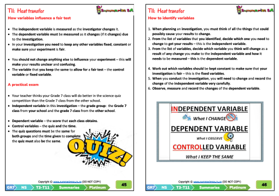 Grade 7 Natural Science (NS) Term 3 (Platinum) - Image 7