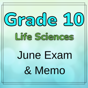 life science grade 10 assignment term 3