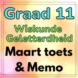 Graad 11 Wiskunde Geletterdheid Maart Toets & Memo - 2023 (2)