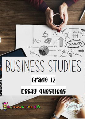 essays for grade 12 business studies