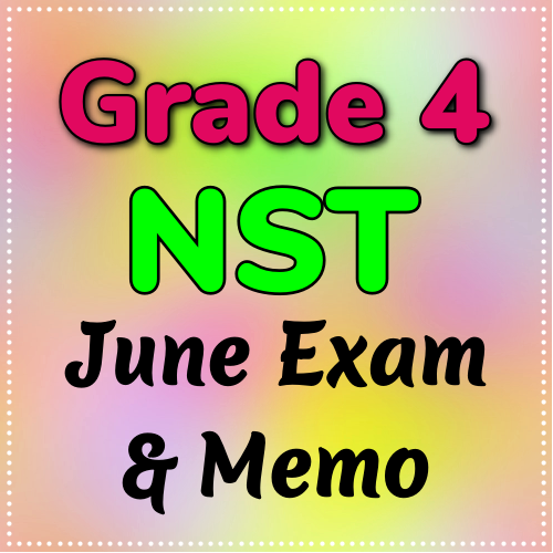 Grade 4 Natural Science & Technology June Exam & Memo - 2023 (2)
