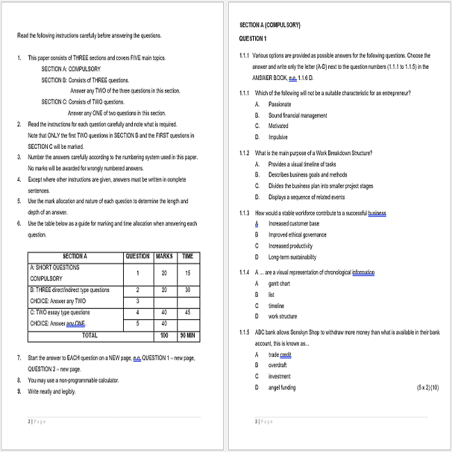 essay for business studies grade 11