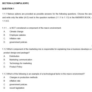 business plan business studies grade 11