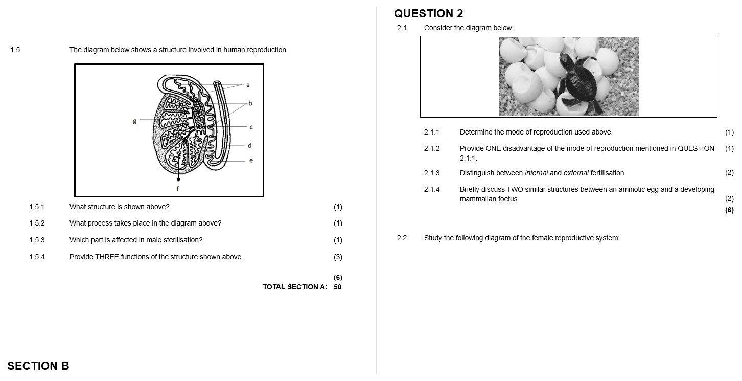 life science grade 12 assignment 2023 term 3