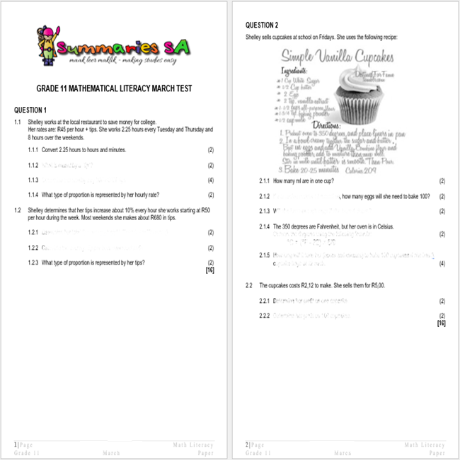 maths literacy assignment grade 11