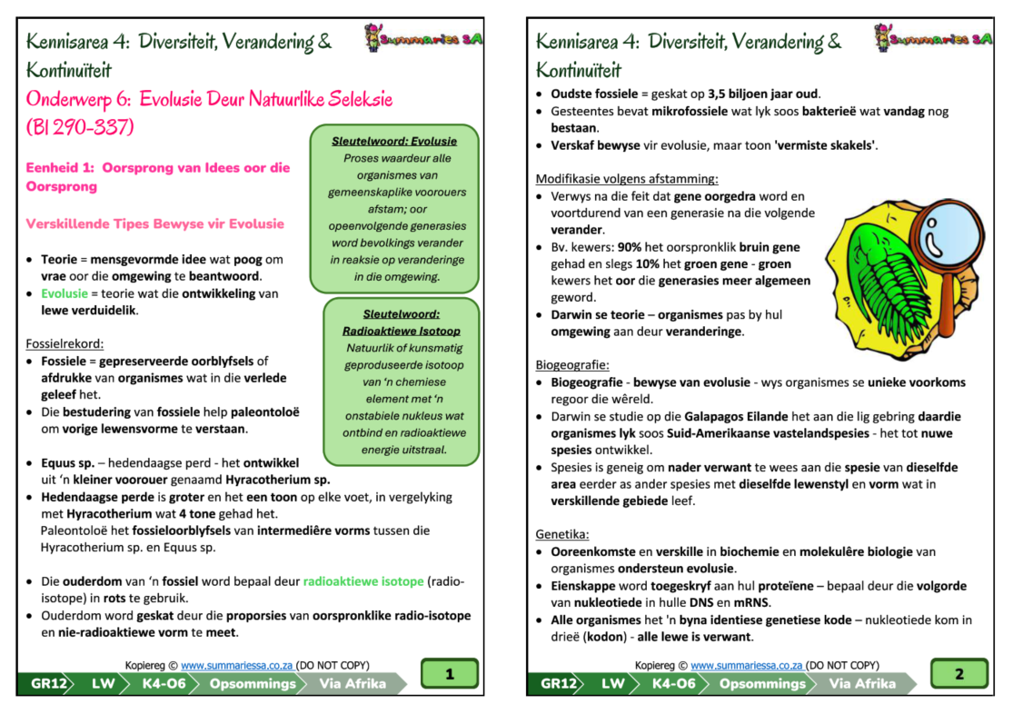 Graad 12 Lewenswetenskappe (LW) Kwartaal 3 Opsommings (Via Afrika) - Image 3