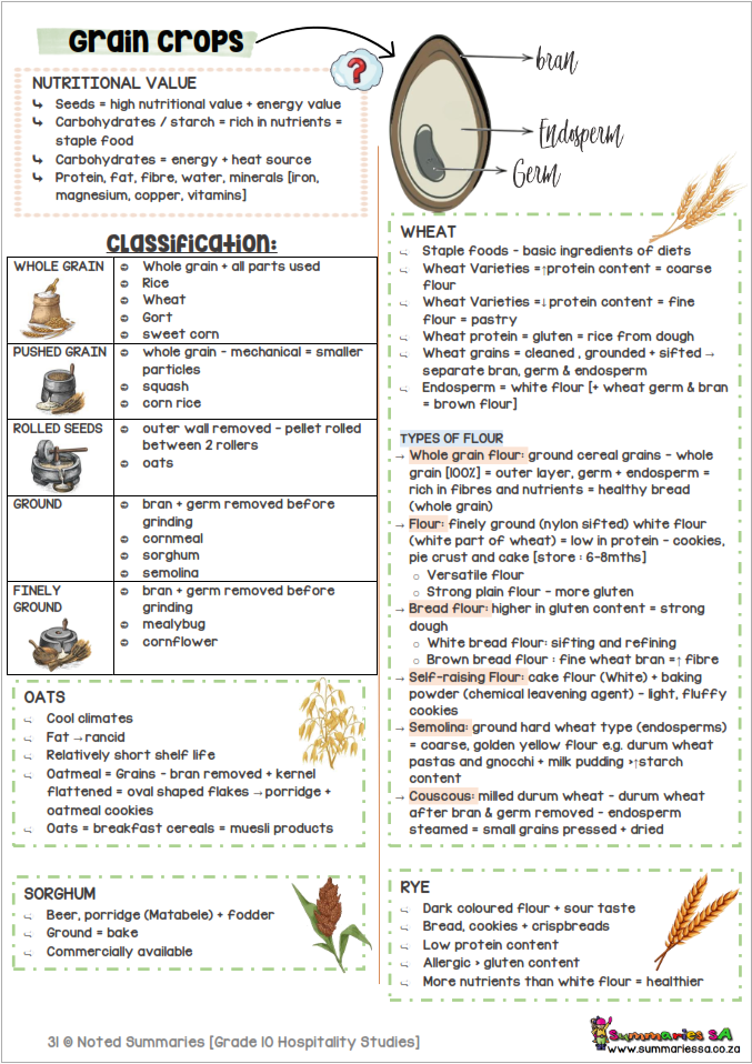 Grade 10 Hospitality Studies (HS) Summaries Term 1 - 4 (FOCUS) - Image 8