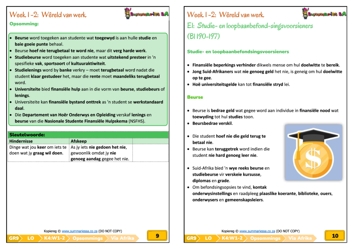 Graad 9 Lewensoriëntering (LO) Kwartaal 4 Opsommings (Via Afrika) - Image 4