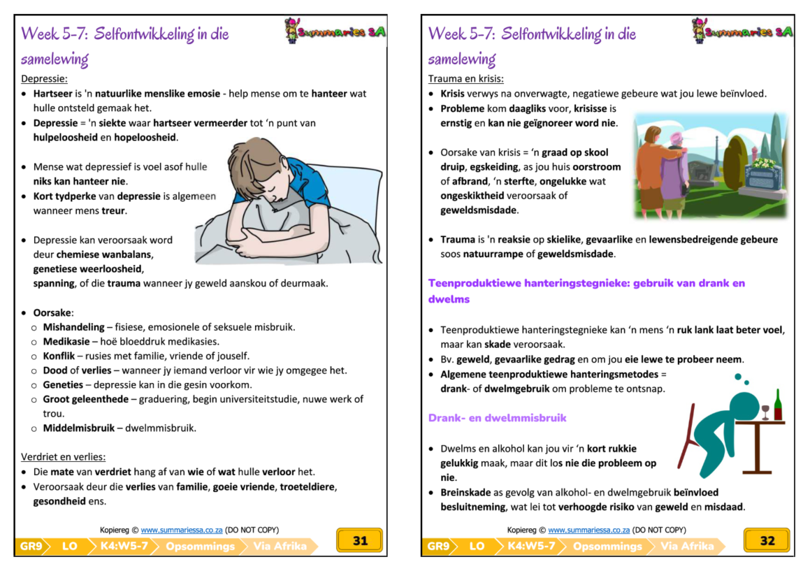 Graad 9 Lewensoriëntering (LO) Kwartaal 4 Opsommings (Via Afrika) - Image 5