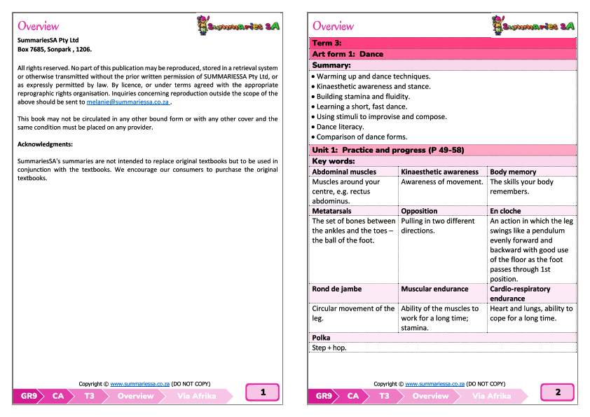 Grade 9 Creative Arts (CA) Summaries Term 3 (Via Afrika) - Image 2