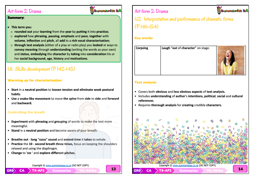 Grade 9 Creative Arts (CA) Summaries Term 4 (Via Afrika) - Image 3