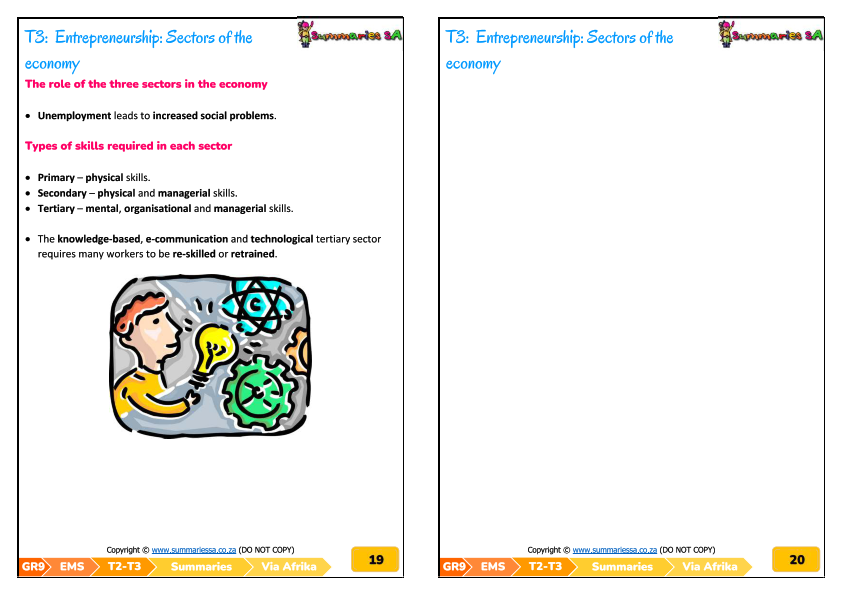 Grade 9 Economic and Management Sciences (EMS) (Economics+Accounting) Summaries - Term 2 (Via Afrika) - Image 5