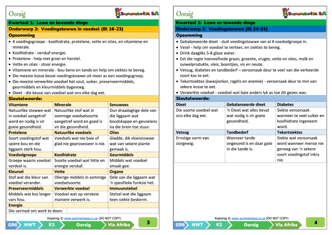 Graad 6 Natuurwetenskappe en Tegnologie (NWT) Kwartaal 1 (Via Afrika) - Opsommings - Image 2