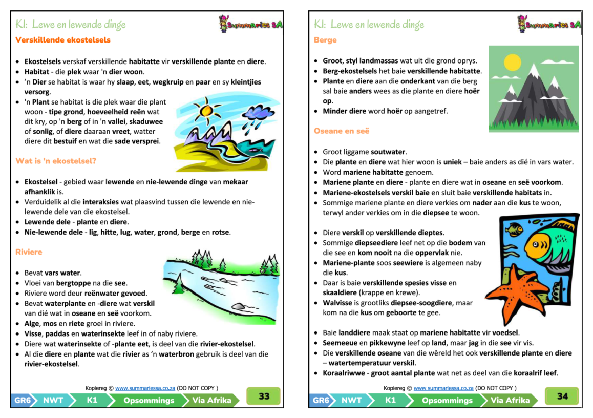 Graad 6 Natuurwetenskappe en Tegnologie (NWT) Kwartaal 1 (Via Afrika) - Opsommings - Image 5