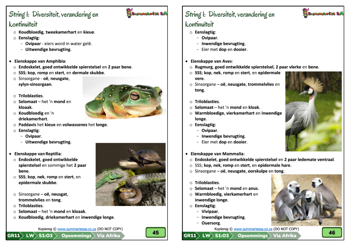Graad 11 Lewenswetenskappe (LW) Kwartaal 1 Opsommings (Via Afrika) - Image 5