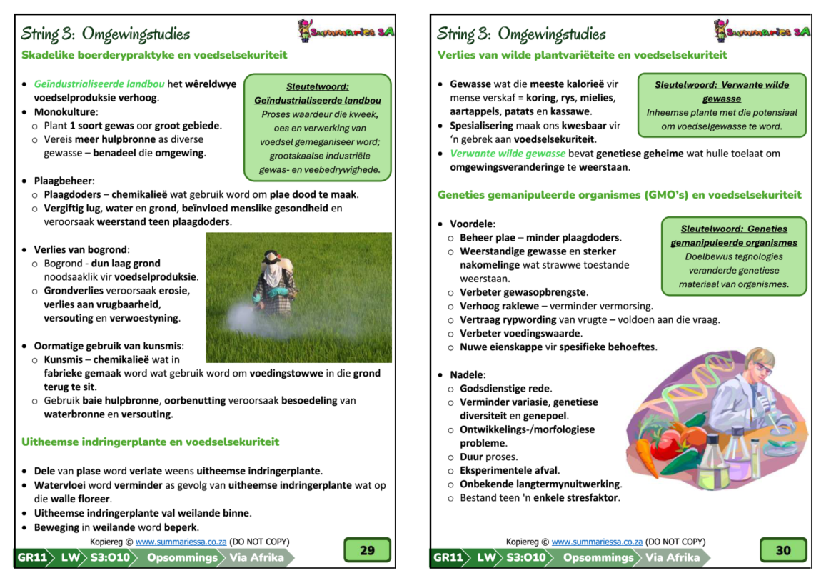 Graad 11 Lewenswetenskappe (LW) Kwartaal 3 Opsommings (Via Afrika) - Image 2
