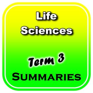 Grade 10 Life Sciences Summaries (Term 3) - The Answer