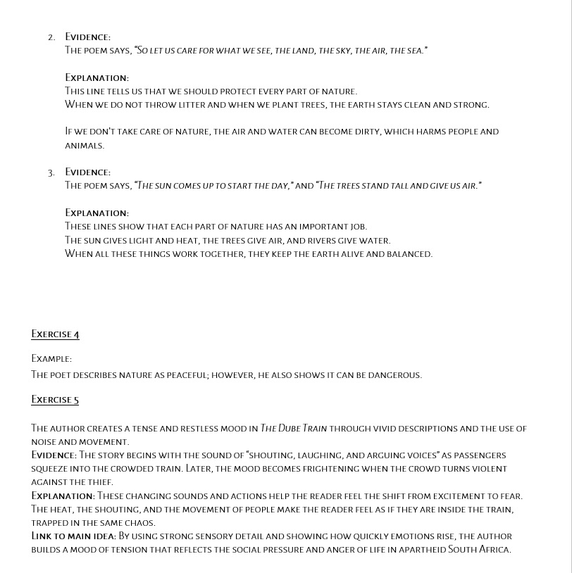 Grade 10 – English First Additional Language (CAPS-Aligned) - Essay Writing Skills - Image 2