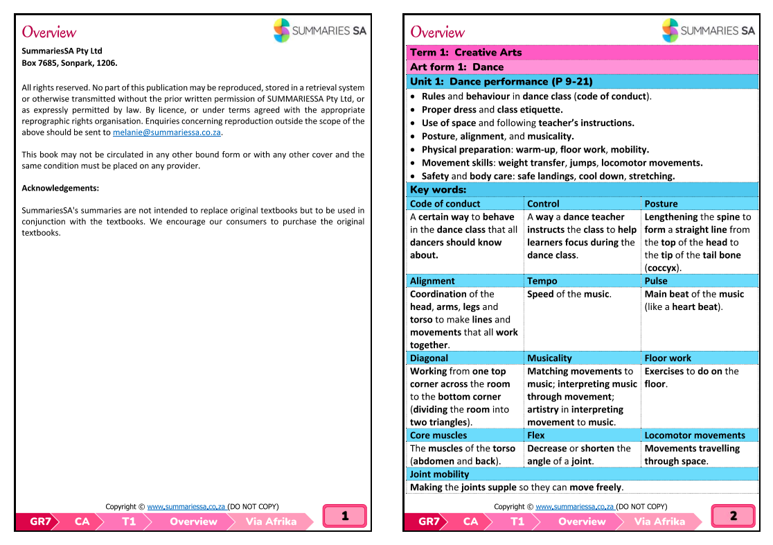Grade 7 Creative Arts (CA) Term 1 (Top Class) - Only Summaries - Image 2