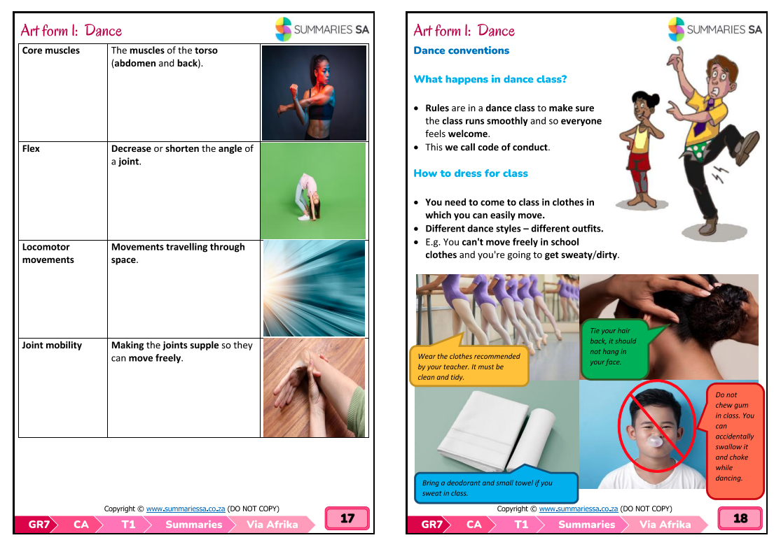 Grade 7 Creative Arts (CA) Term 1 (Top Class) - Only Summaries - Image 5