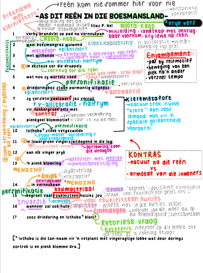 Graad 11_Afrikaans Huistaal_Gedigte Analise - Image 2