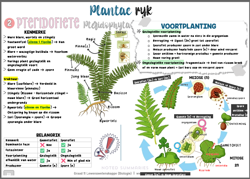 Graad 11_Biologie Vraestel 2_Opsommings Notastel - Image 2