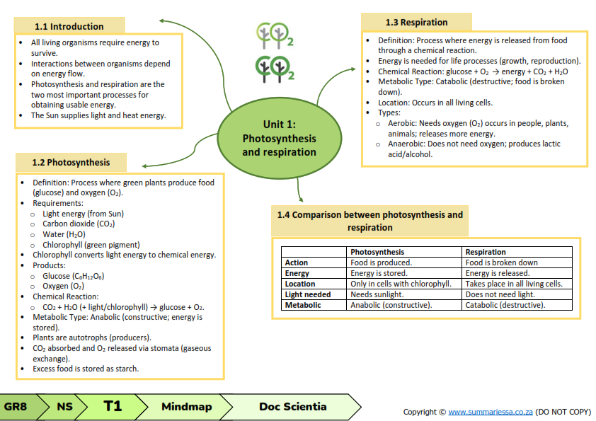 Grade 8 Natural Sciences (NS) Summaries - Term 1 (Doc Scientia) - Image 3