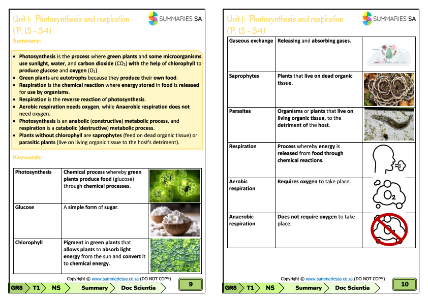 Grade 8 Natural Sciences (NS) Summaries - Term 1 (Doc Scientia) - Image 4